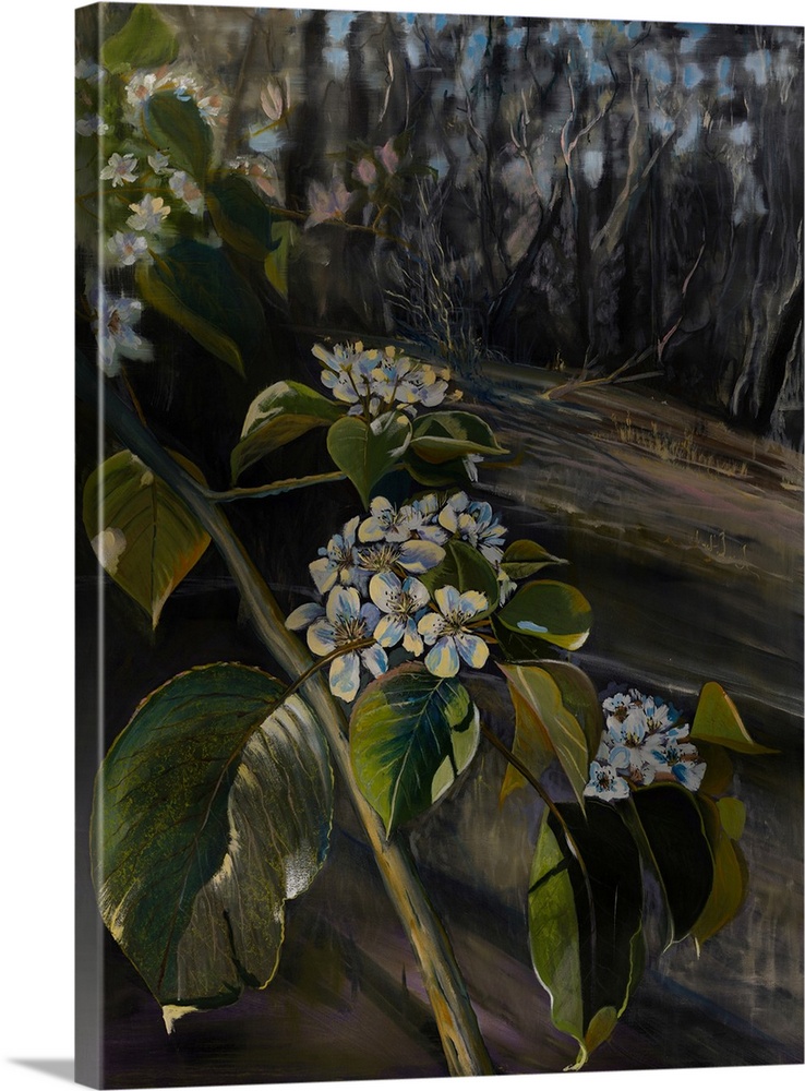 Painting of the apple tree growing in the midst of the Australian bush, introducing a new perspective to the local landscape.