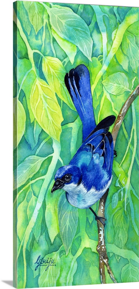 This beautiful blue bird is painted in watercolor on paper with bright yellow green background of leaves.