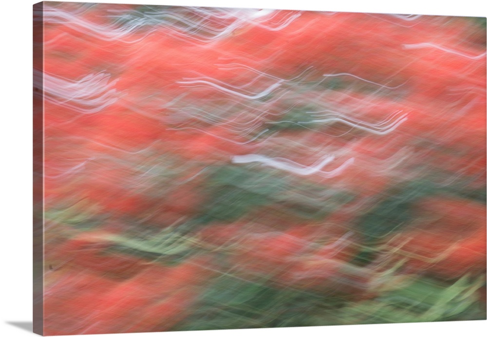 Impressionist photograph that capture the color of Christmas.