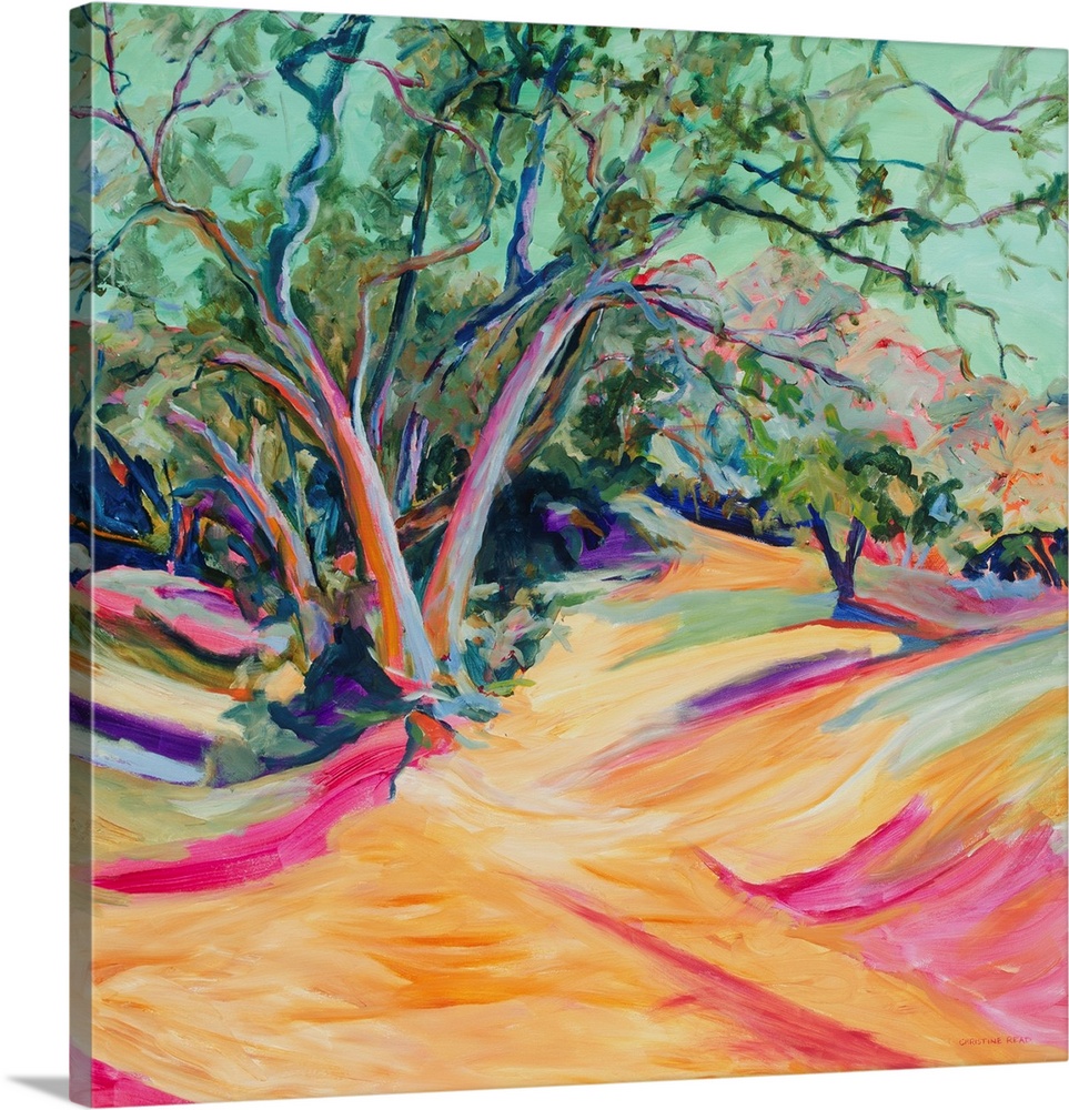 A contemporary landscape with trees in an outback and a pink creek bed with deep shadows.