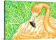 image thumbnail of Orange flamingo bird is resting on the grass, tried to capture the summer colors in watercolor on paper.