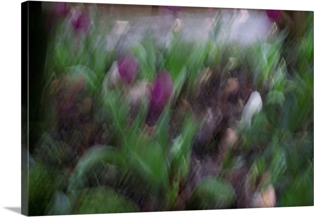 Impressionist photograph of a garden with intentional movement.