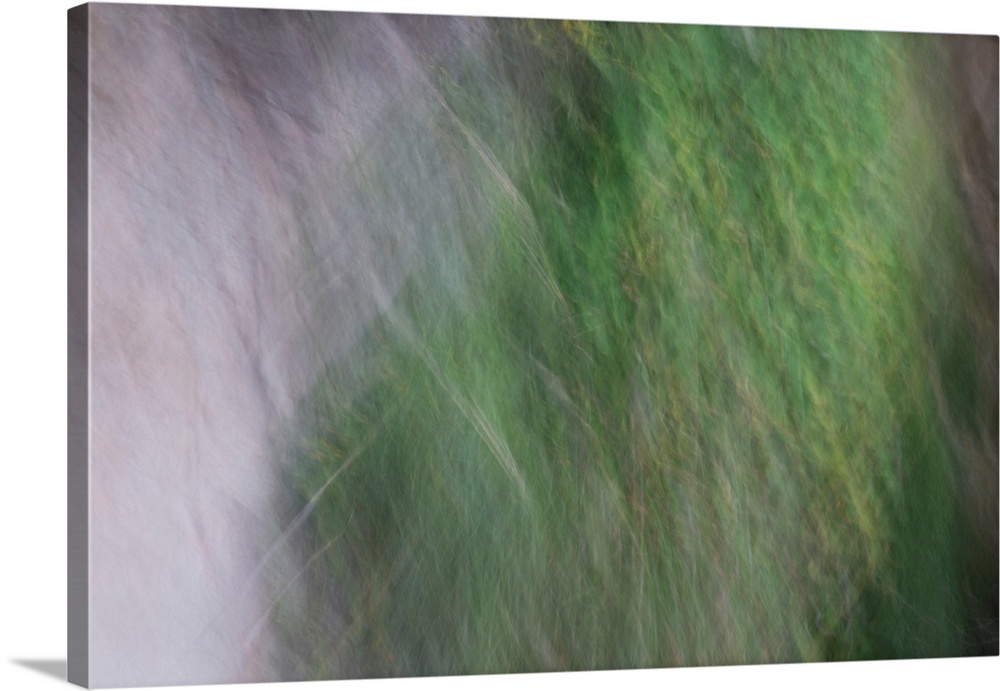 Abstract photograph of a calm ambience of green.