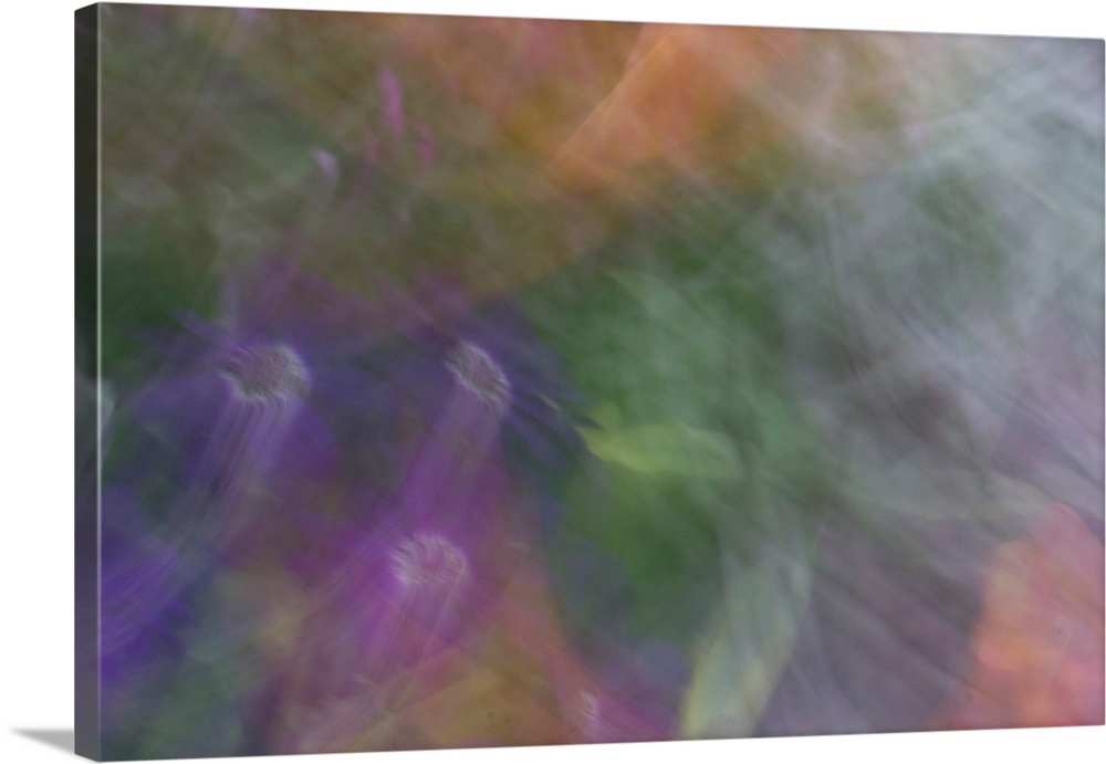 Impressionist photograph of a garden with a dreamy feel.