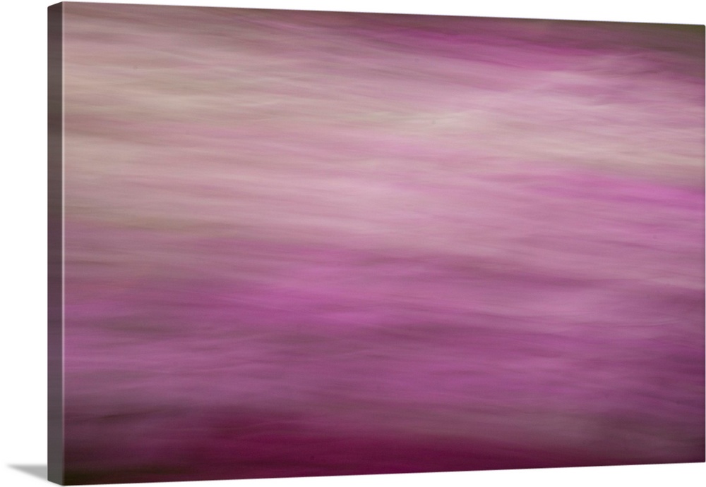 Impressionist photograph with a soft feel and shades of pink.