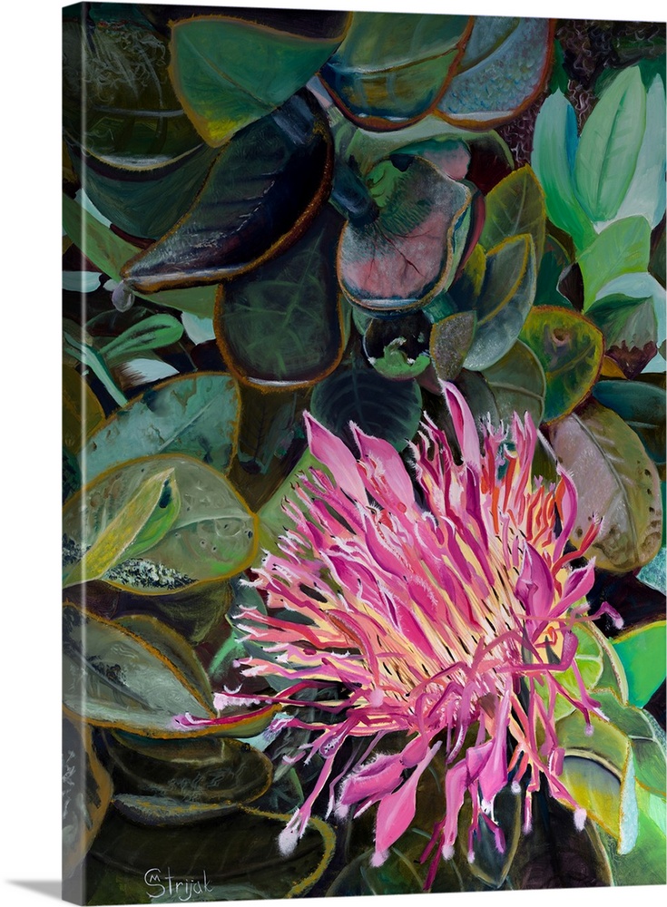Painting of a blooming flower with slim pink petals enveloped in green leaves, reaching towards the sun.