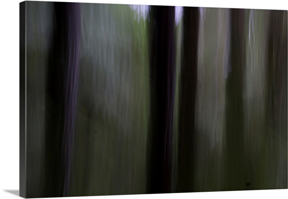 Impressionist photograph of trees