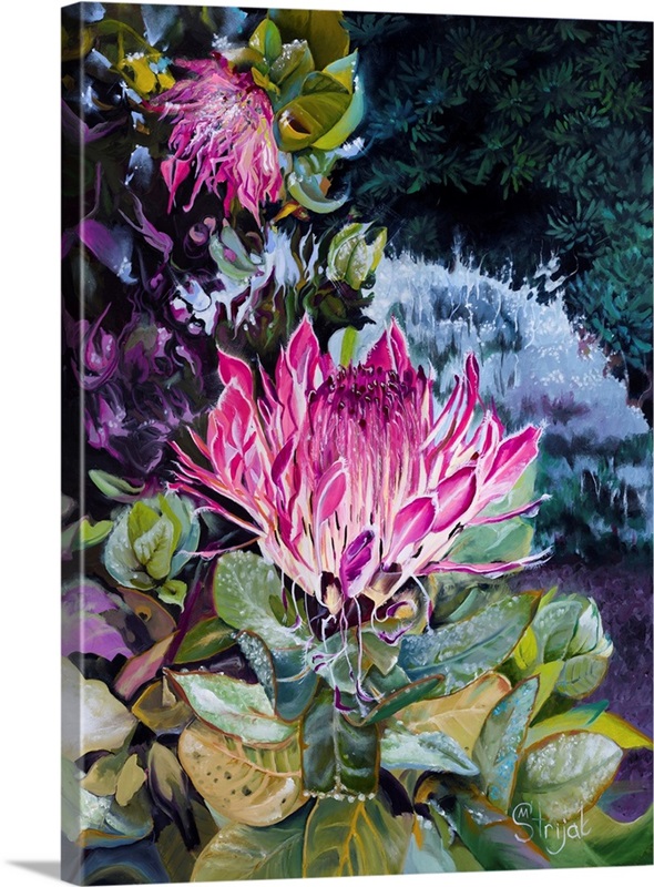 Queen Of The Garden II Wall Art, Canvas Prints, Framed Prints, Wall