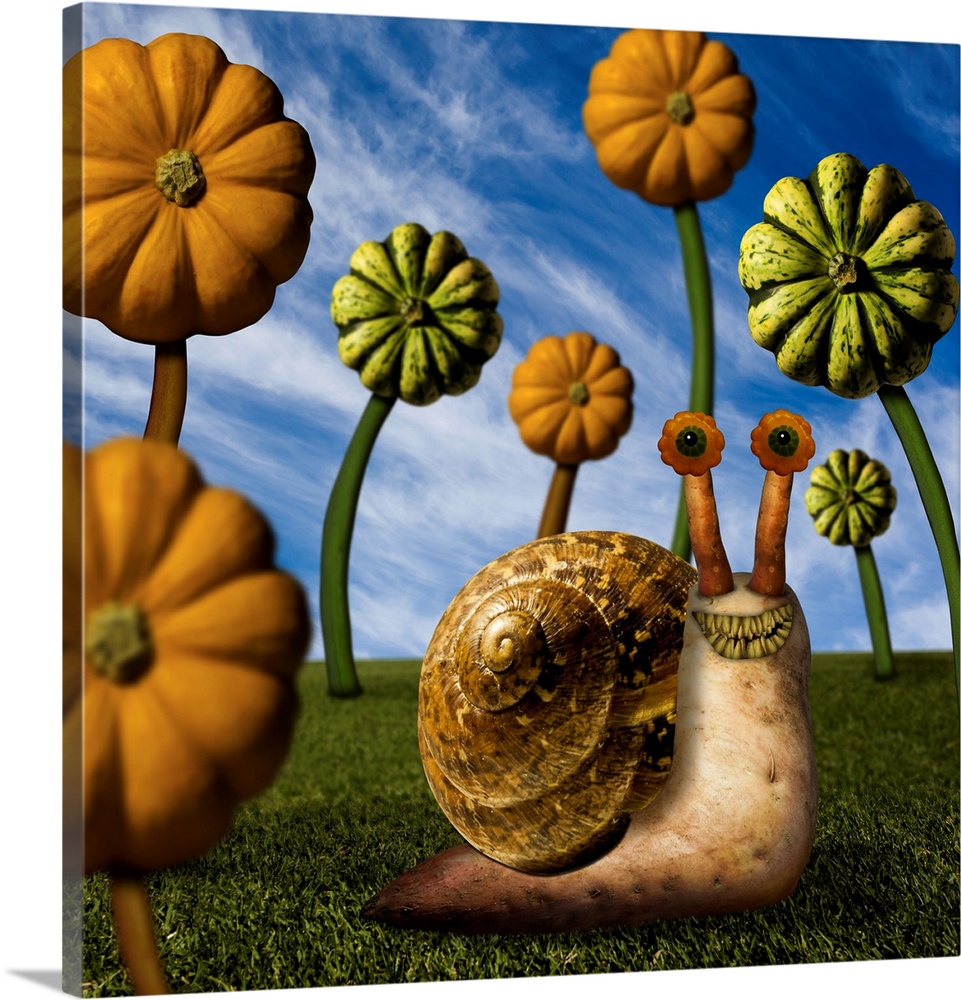 Strange fact - the common garden snail has over 14000 teeth!