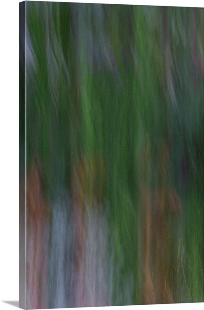 Impressionist photograph of a tree.