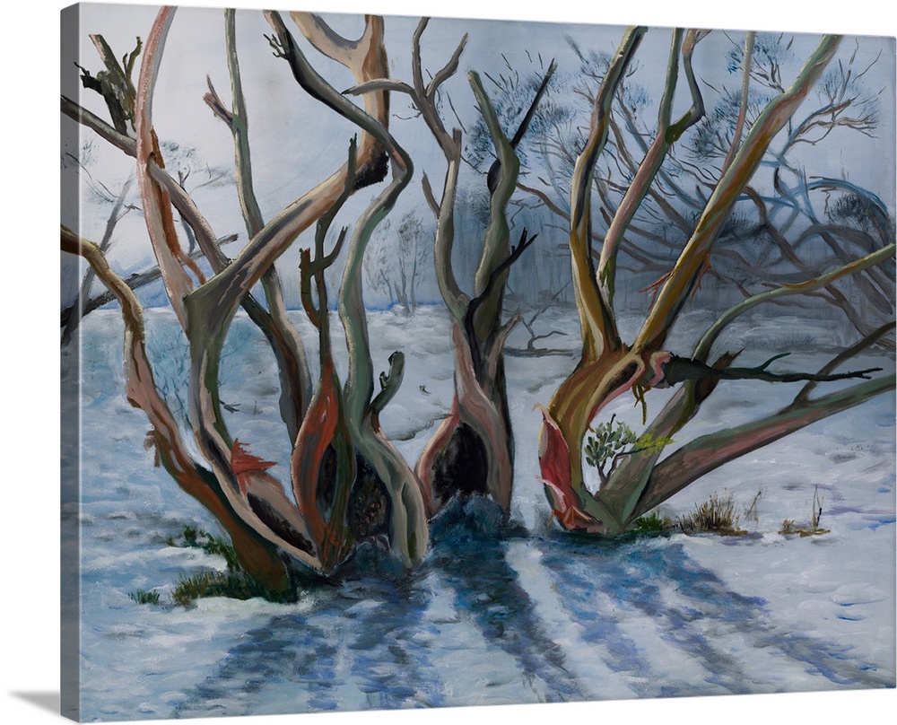 Landscape painting of the eucalyptus trees in snowy mountains, Australia, enduring short, yet cold winter.