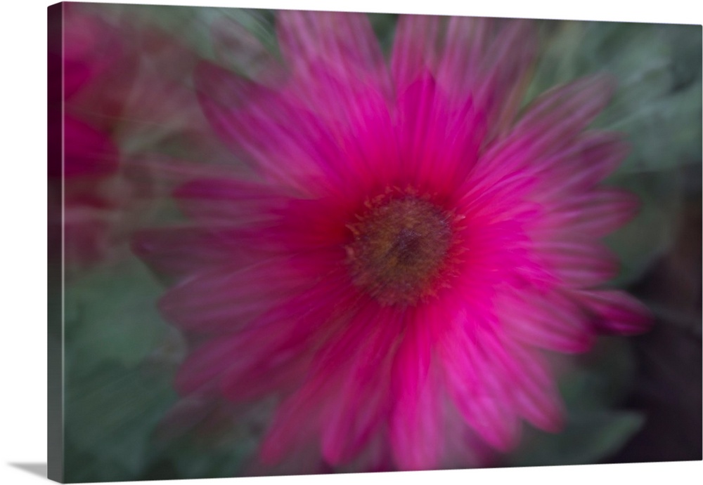 Impressionist photograph of a flower with special effects.