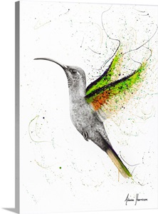 Hero Hummingbird image thumbnail