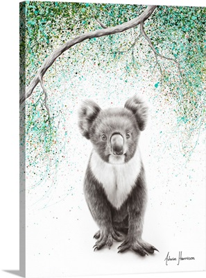 Koala Pride