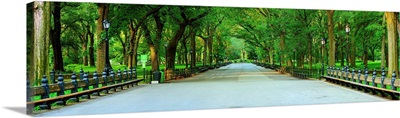 Panoramic View Of The Mall In Central Park