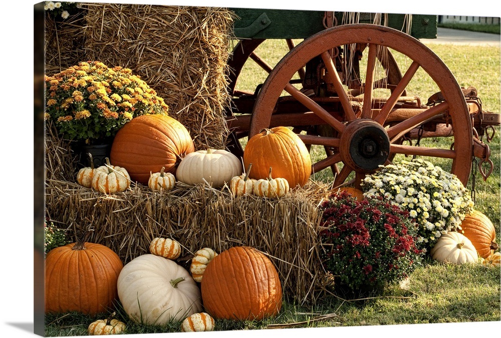 Autumn Pumpkins and Mum Display Wall Art, Canvas Prints, Framed Prints, Wall Peels Great Big