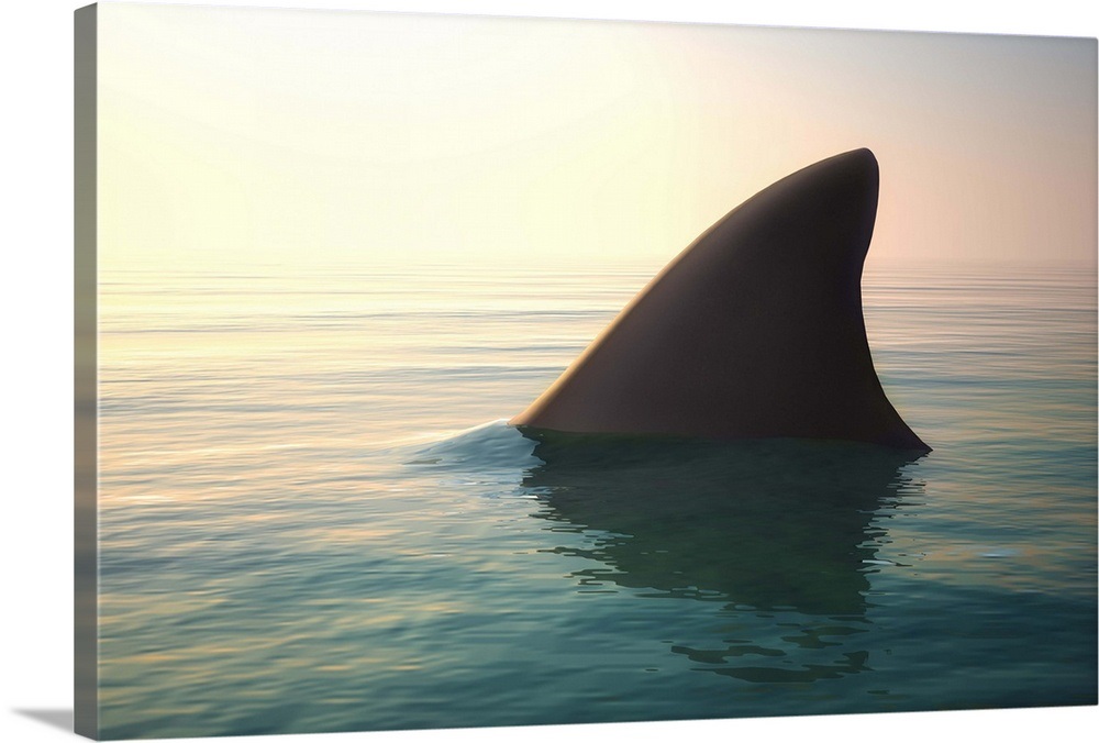 Shark fin above ocean water Wall Art, Canvas Prints, Framed Prints