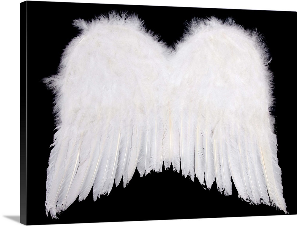 White Angel Wings Wall Art, Canvas Prints, Framed Prints, Wall Peels Great Big Canvas