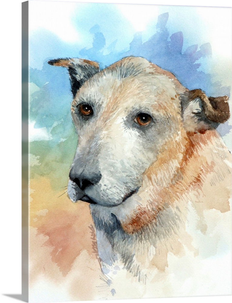Watercolor portrait of a brown and white dog on a colorful background.