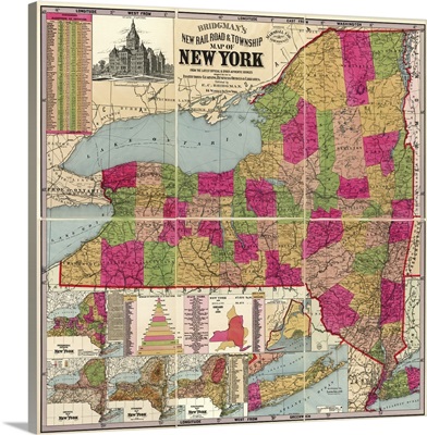 Bridgman's New Rail Road and Township Map of New York