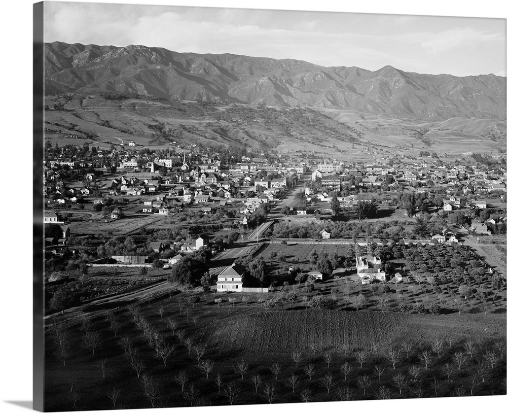 1920s antique photo reprint United States 1920s Montecito California black and white photo landscape