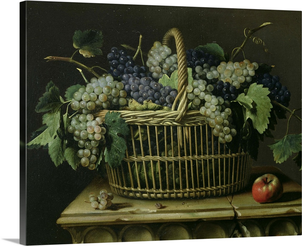 XIR71578 A Basket of Grapes (oil on canvas)  by Dupuis, Pierre (1610-82); 50x60 cm; Louvre, Paris, France; Giraudon; Frenc...