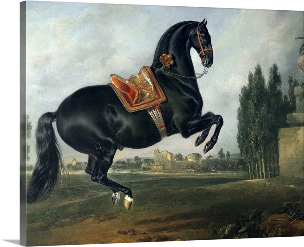 XAM65652 A black horse performing the Courbette (oil on canvas) (for detail see 264709)  by Hamilton, Johann Georg (1672-1...