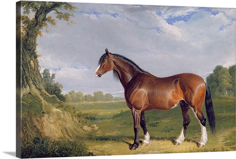 A Clydesdale Stallion, 1820 | Great Big Canvas