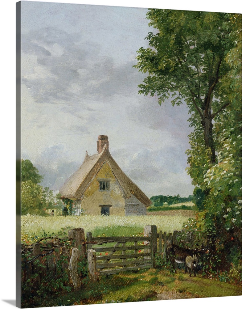 NGW186824 Credit: A Cottage in a Cornfield, 1817 (oil on canvas) by John Constable (1776-1837)A National Museum Wales/ The...