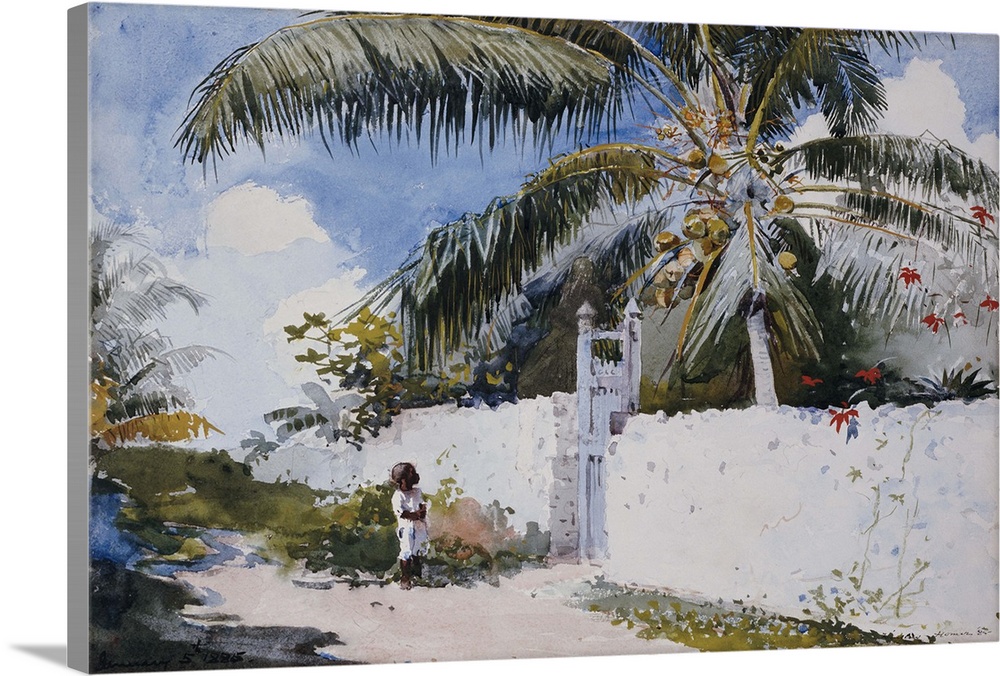 A Garden in Nassau, 1885