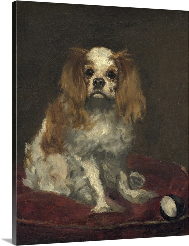 A King Charles Spaniel, c. 1866, oil on linen.  By Edouard Manet (1832-83).