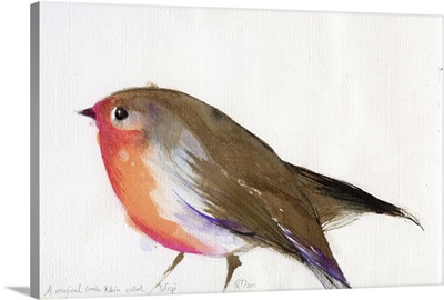 A magical little robin called Wisp, 2011