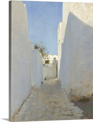 A Moroccan Street Scene, 1879-1880