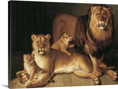 A Pride of Lions, 1801-02