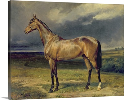 Abdul Medschid the chestnut arab horse, 1855