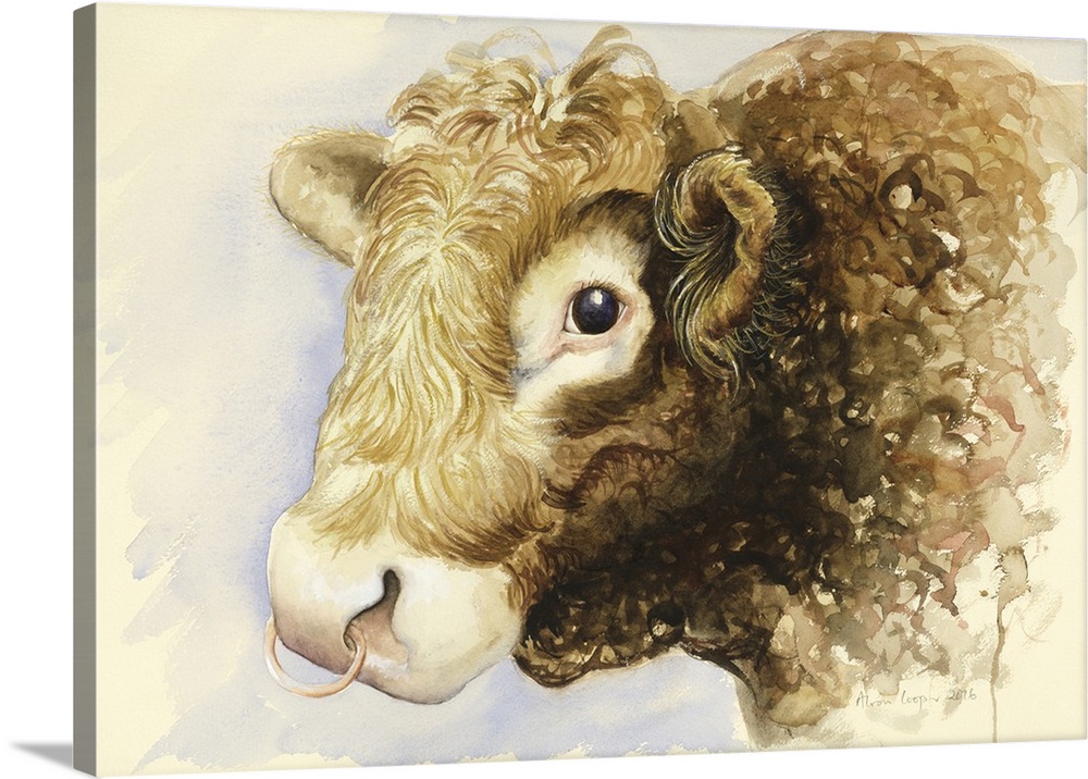 Adam the Bull, 2016, watercolour.
