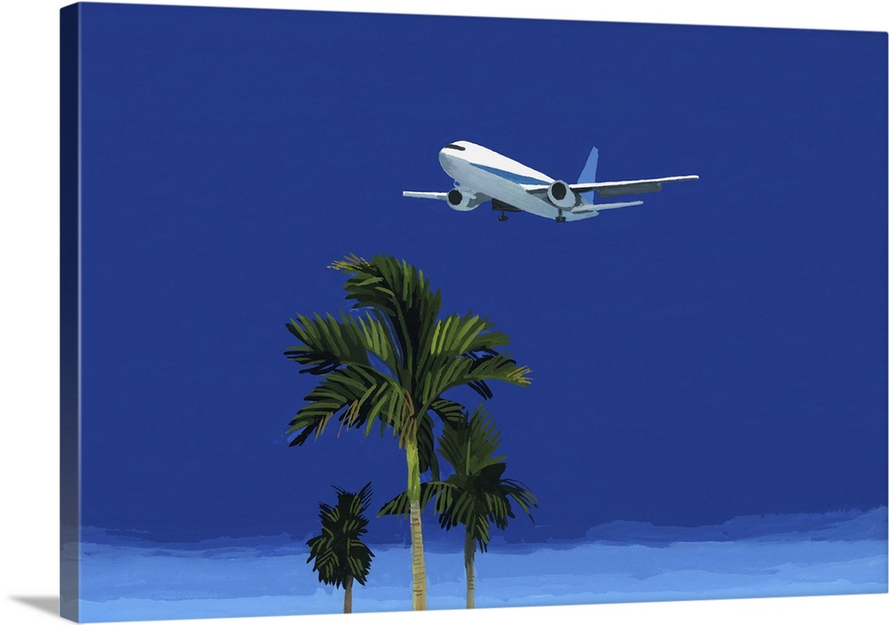 Airplane And Palm Tree, 2016