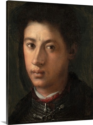 Alessandro de' Medici, 1534-35