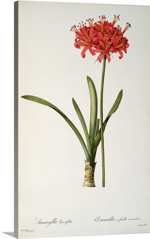Vertical painting on canvas of a brightly colored flower on a neutral backdrop.