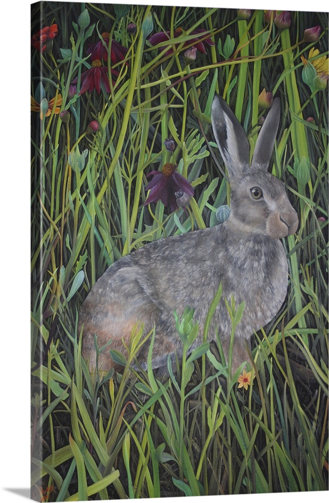 Among The Wild Flowers, 2022