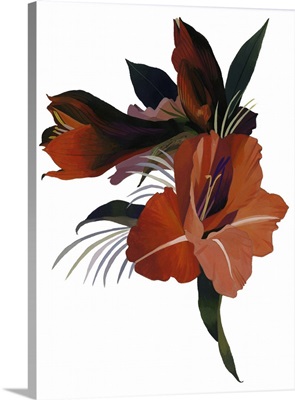 An Imaginary Flower Based On An Amaryllis, 2003