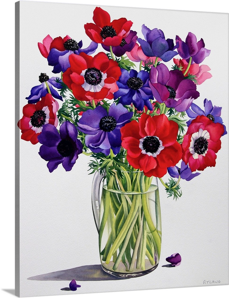 Anemones in a Glass Jug, 2007