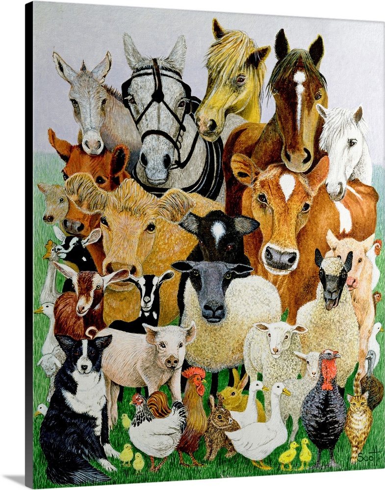 Illustration of farm animals and livestock including cows, horses, pigs, geese, chickens, sheep, goats, and rabbits.
