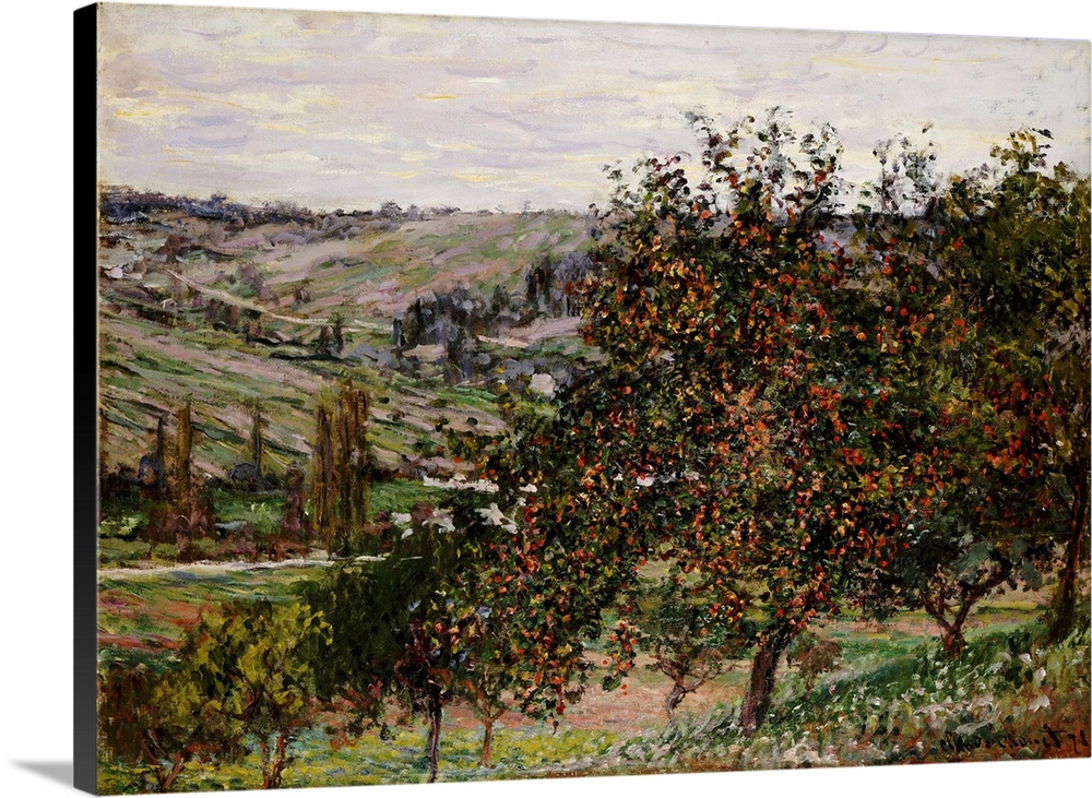 CH376888 Credit: Apple Trees near Vetheuil (oil on canvas) by Claude Monet (1840-1926)Private Collection/ Photo A Christie...
