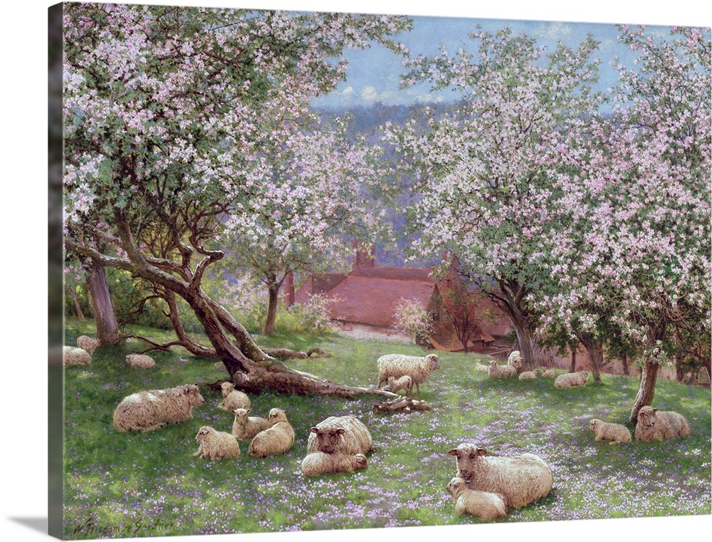 BAL15052 Appleblossom (w/c on paper)  by Gardner, William Biscombe (1847-1919); watercolour on paper; Mark Hancock Gallery...