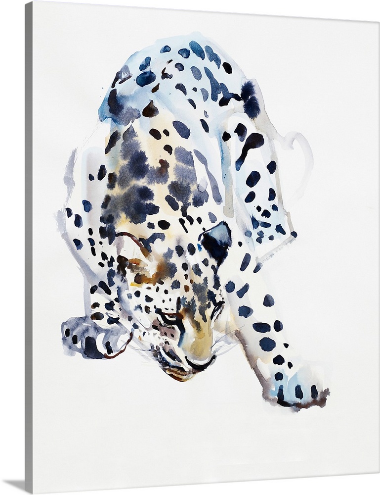 Contemporary wildlife painting of an Arabian Leopard.
