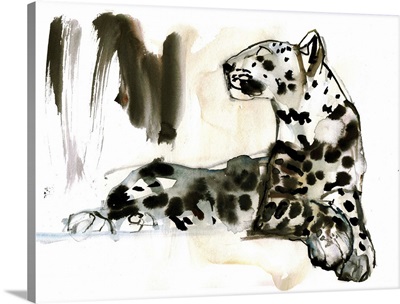 Arabian Leopard, 2008