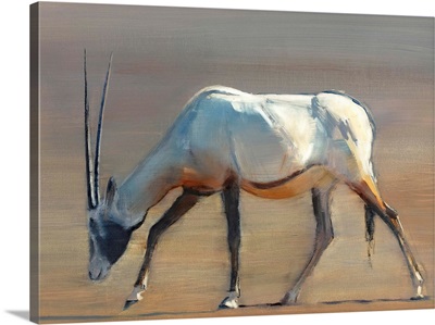 Arabian Oryx, 2010