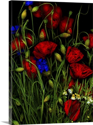 Artfloral Poppy I