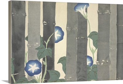 Asagao, From Momoyo-Gusa (The World Of Things) Vol I, Pub.1909